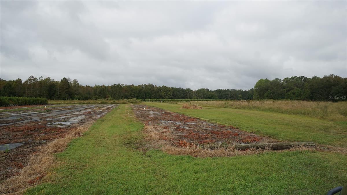 DOUGLAS ROAD — photo 17 of 20