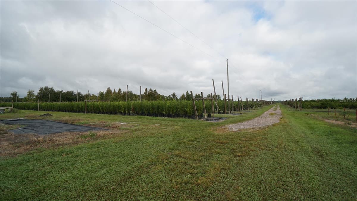 DOUGLAS ROAD — photo 1 of 20