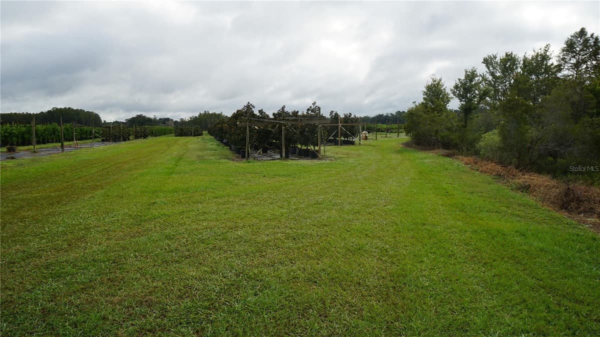 DOUGLAS ROAD — photo 9 of 20