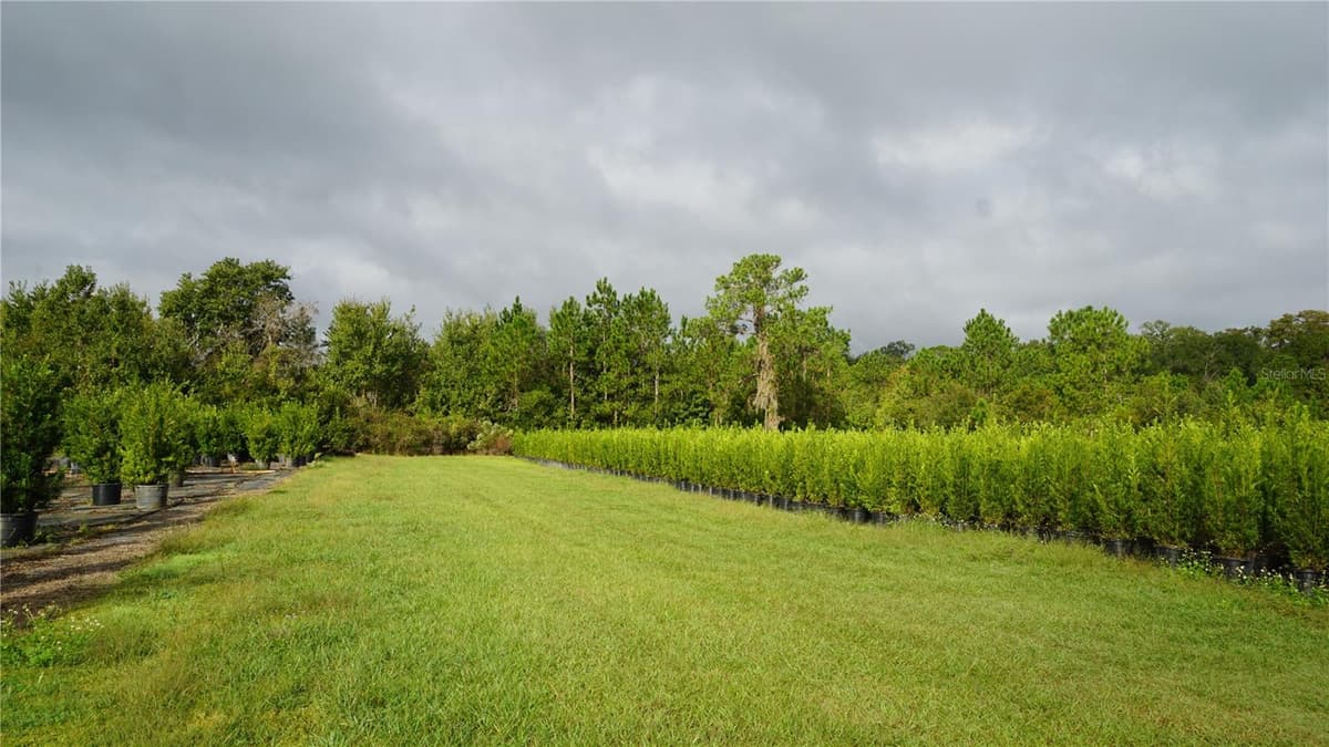 DOUGLAS ROAD — photo 14 of 20