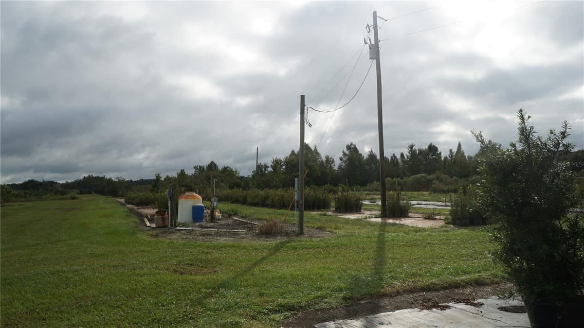 DOUGLAS ROAD — photo 15 of 20