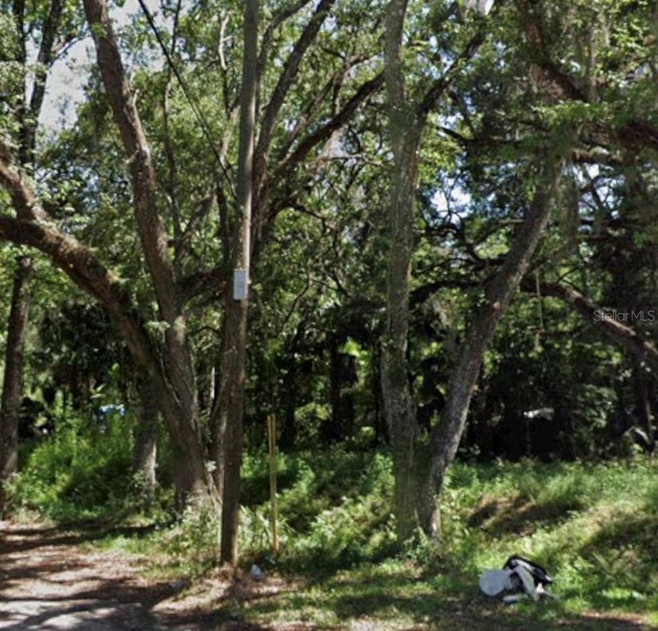 TBD TWIGG STREET — photo 1 of 2