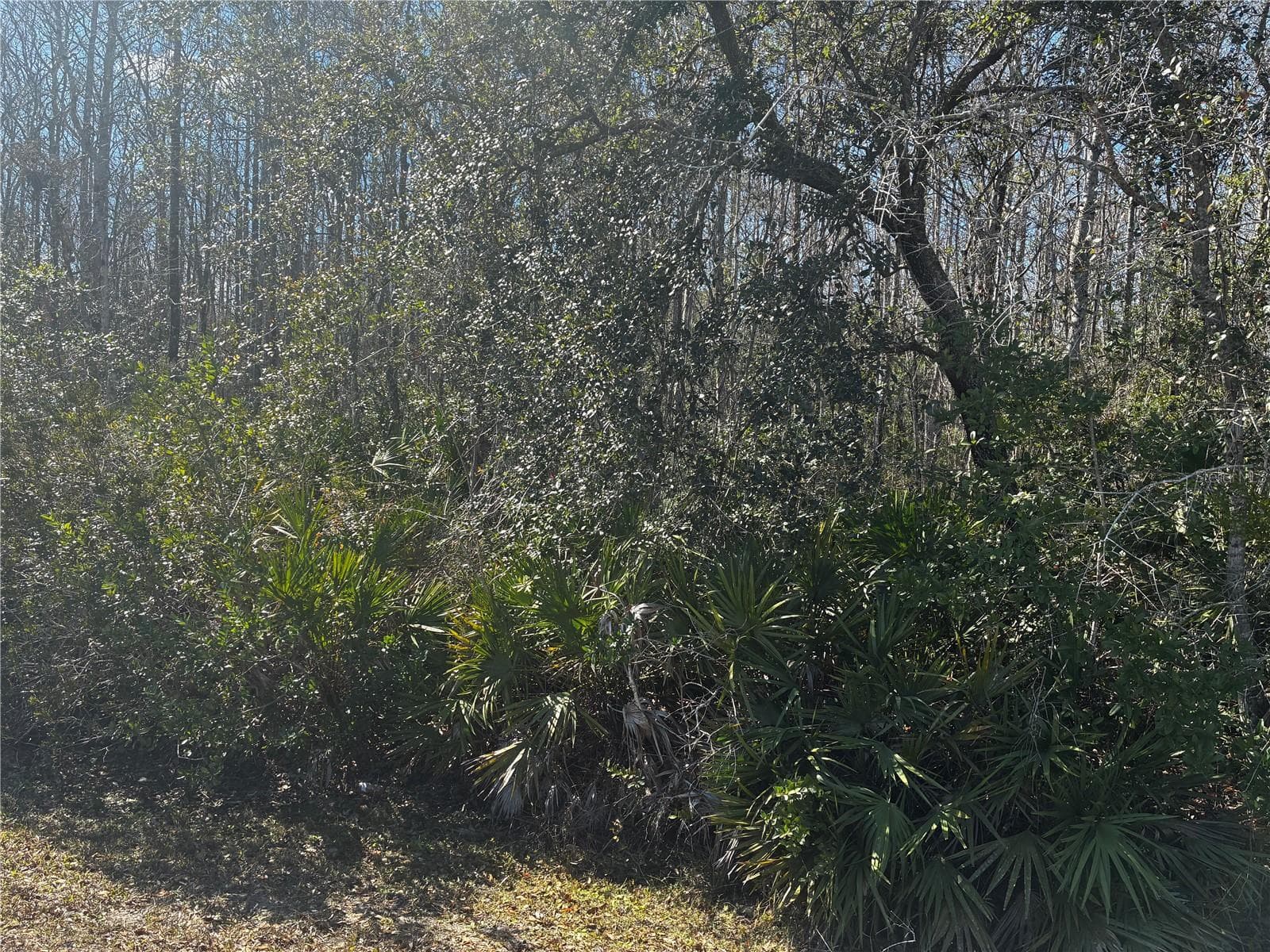 1228 MURDOCK BOULEVARD — photo 3 of 5