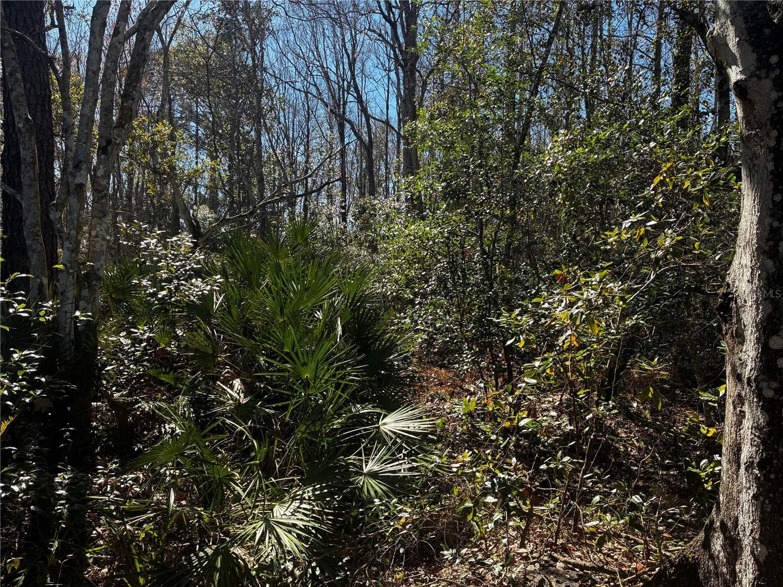 1214 MURDOCK BOULEVARD — photo 4 of 5