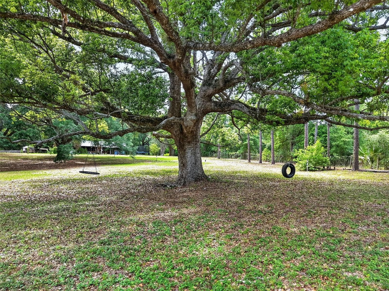 40635 THOMAS BOAT LANDING ROAD — photo 12 of 44