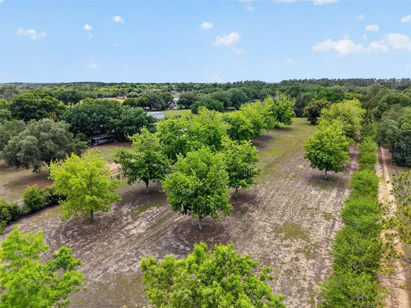 40635 THOMAS BOAT LANDING ROAD — photo 6 of 44
