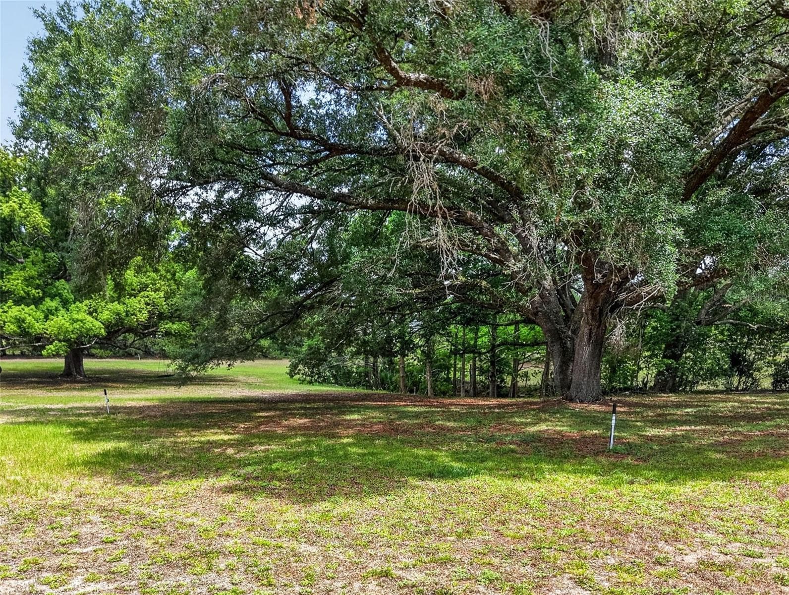 40635 THOMAS BOAT LANDING ROAD — photo 11 of 44