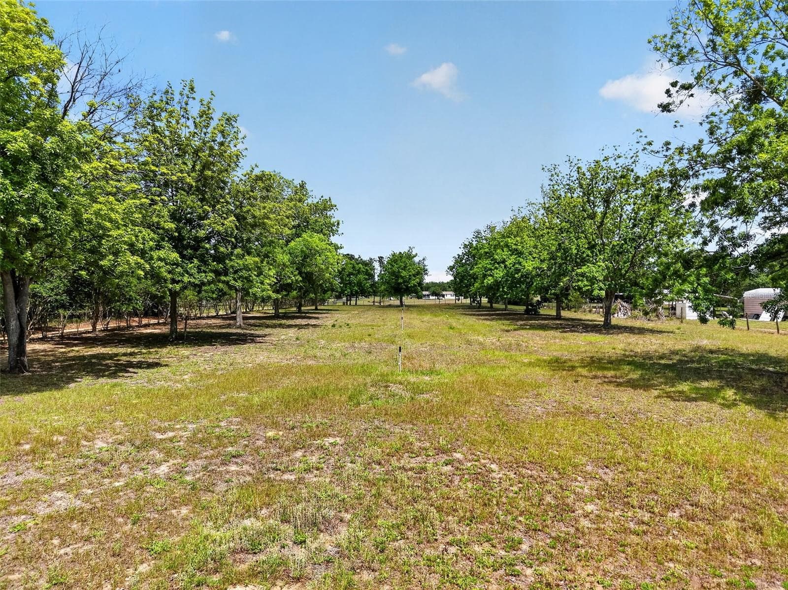 40635 THOMAS BOAT LANDING ROAD — photo 7 of 44