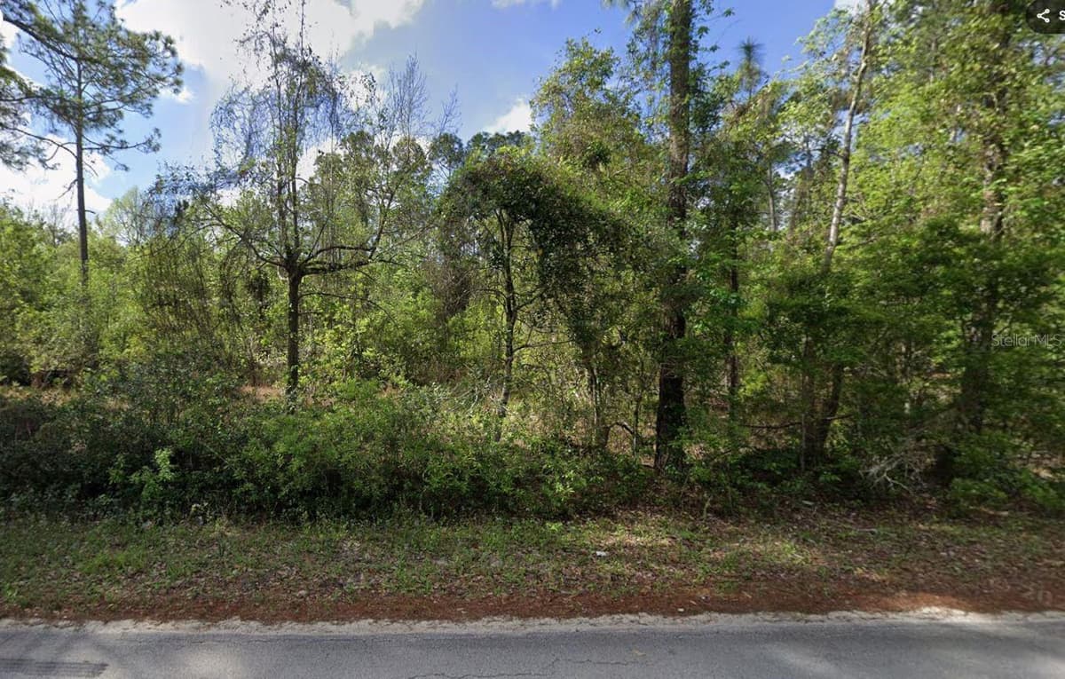 505 HICKORY NUT TRAIL — photo 3 of 6