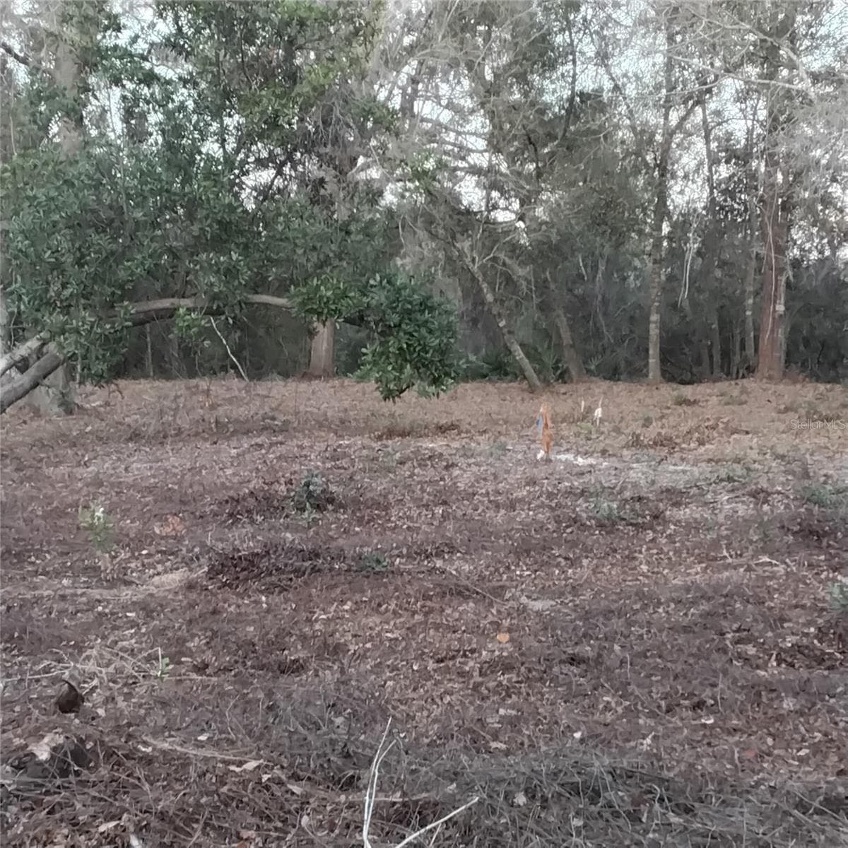 0 ALTURAS BABSON PARK CUTOFF ROAD — photo 8 of 13