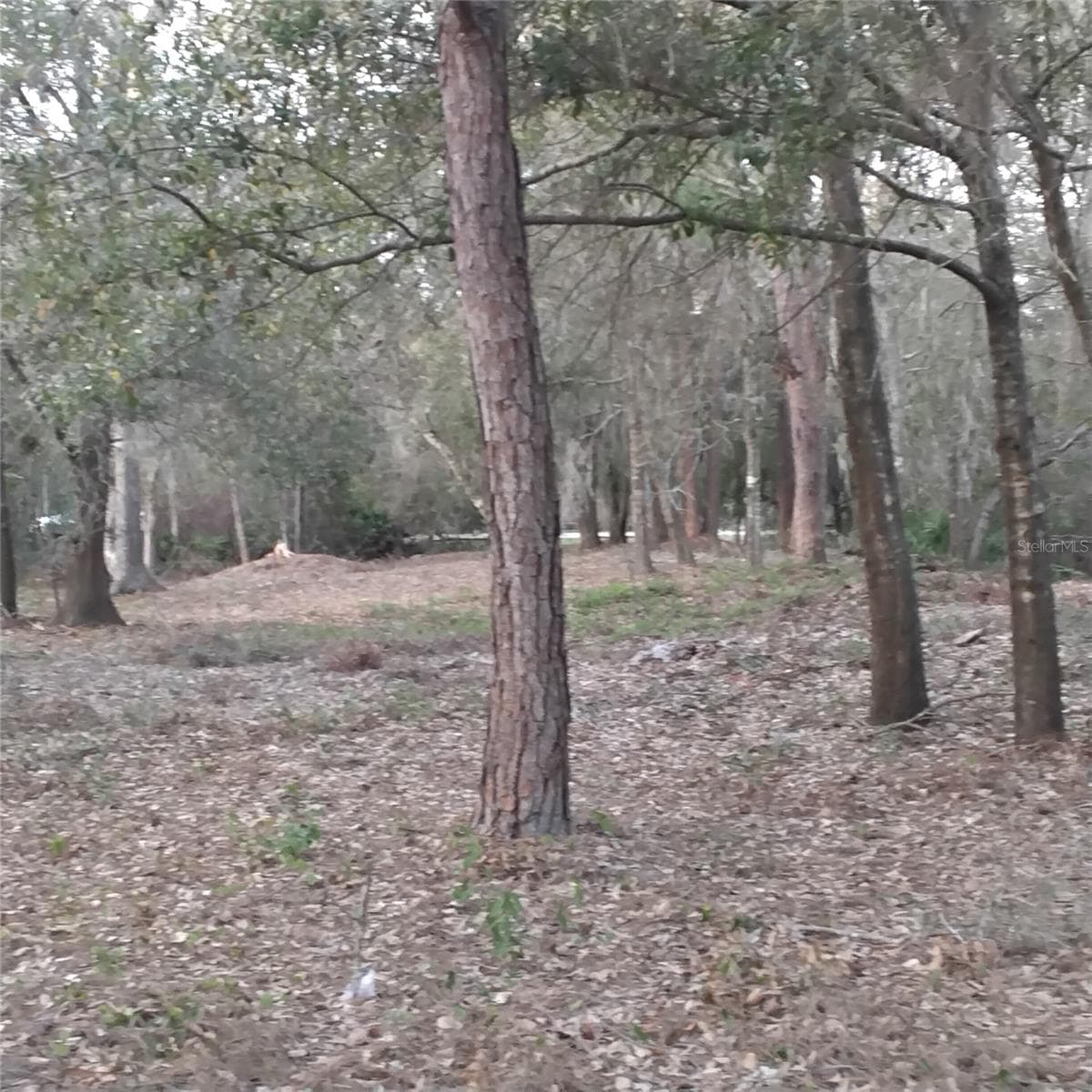 0 ALTURAS BABSON PARK CUTOFF ROAD — photo 6 of 13