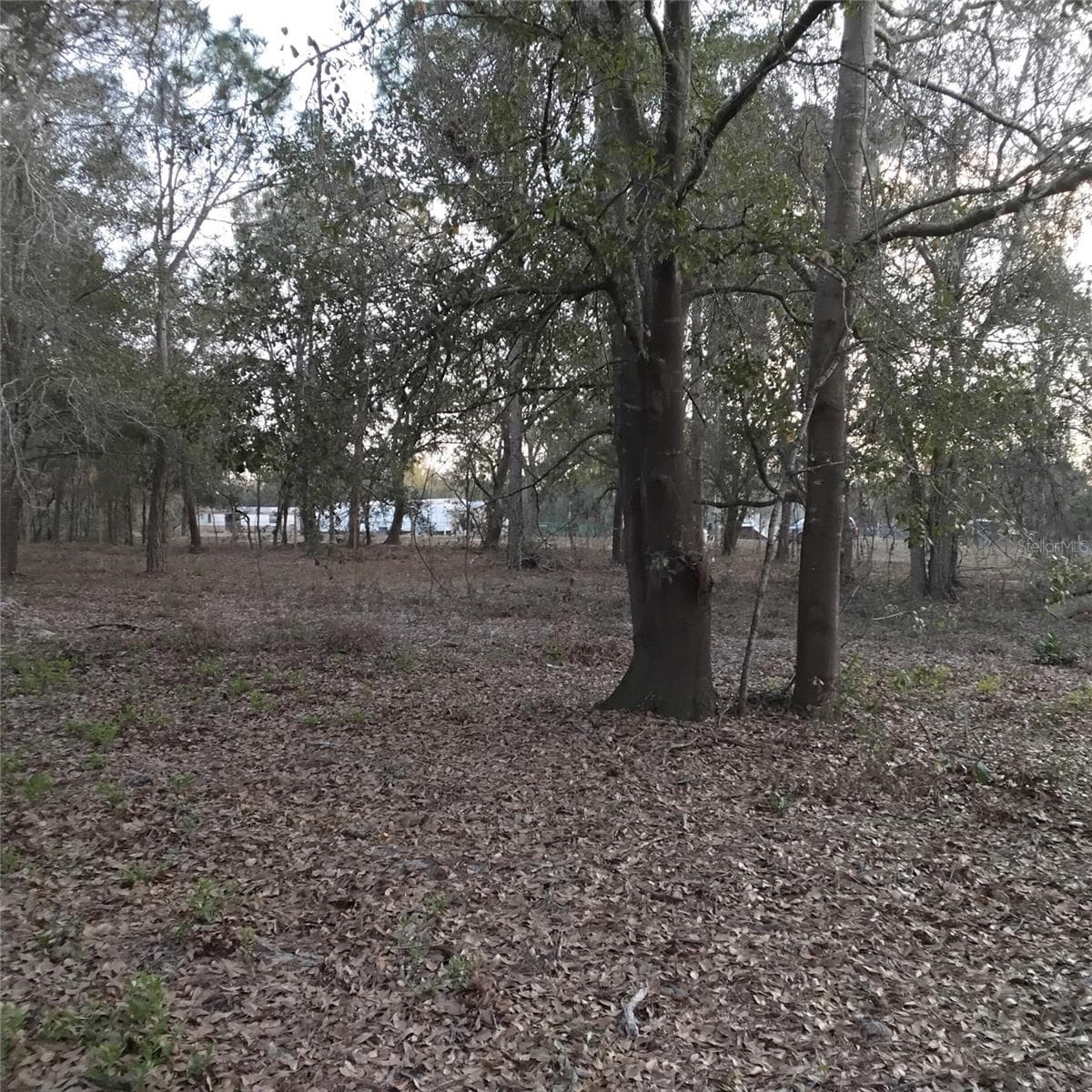 0 ALTURAS BABSON PARK CUTOFF ROAD — photo 12 of 13