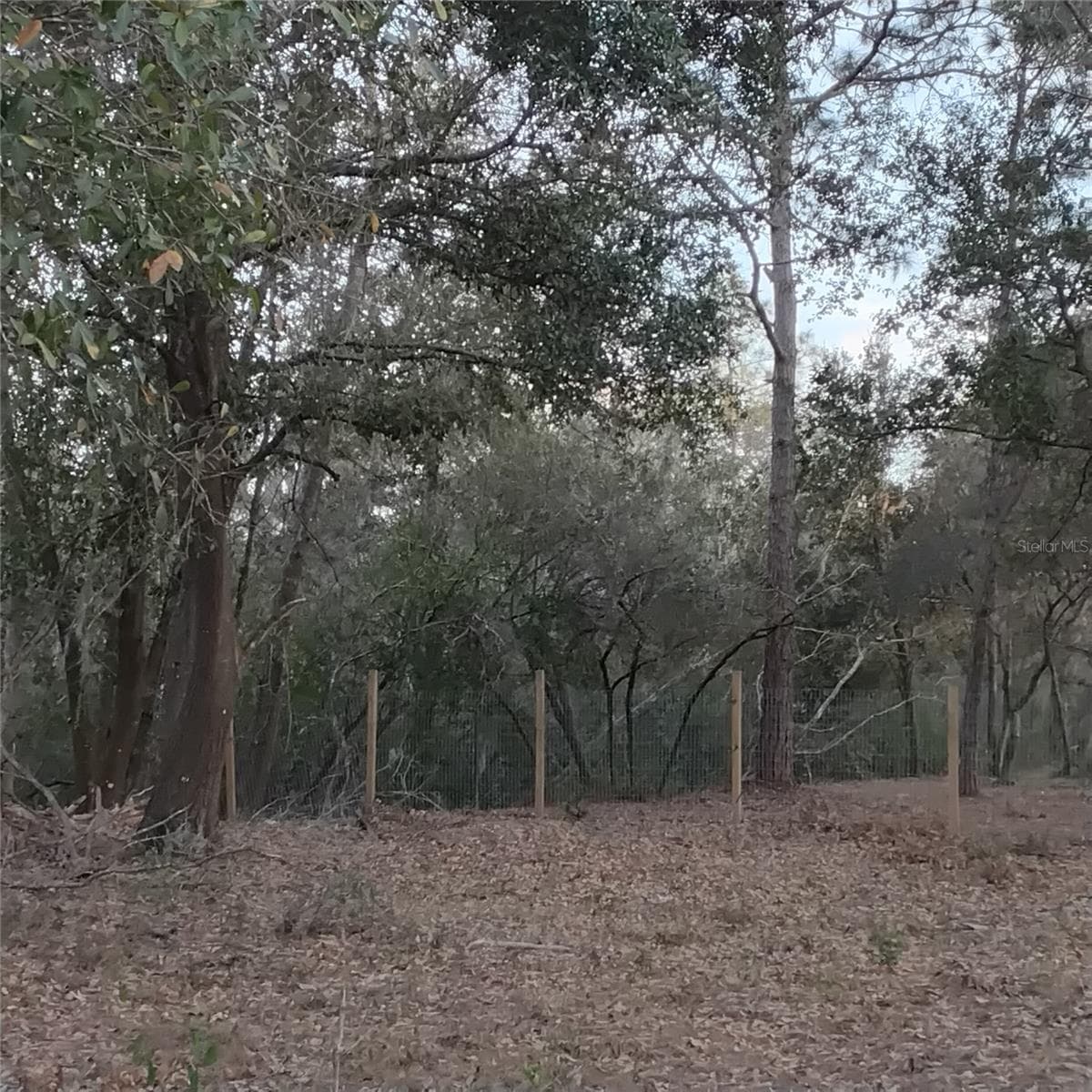 0 ALTURAS BABSON PARK CUTOFF ROAD — photo 4 of 13