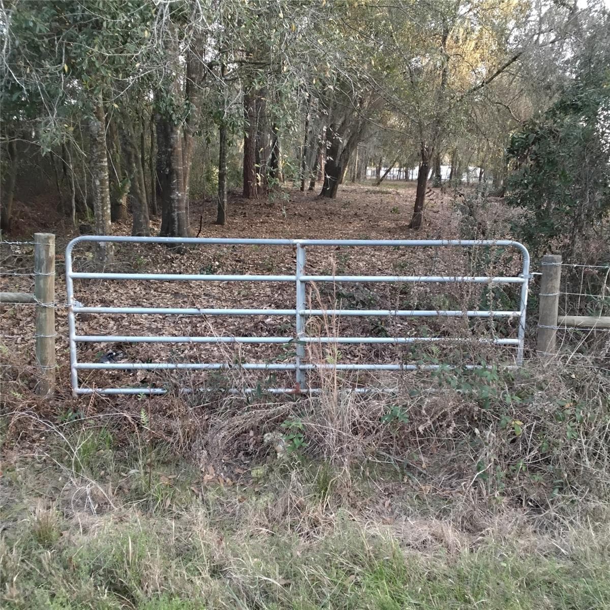 0 ALTURAS BABSON PARK CUTOFF ROAD — photo 2 of 13