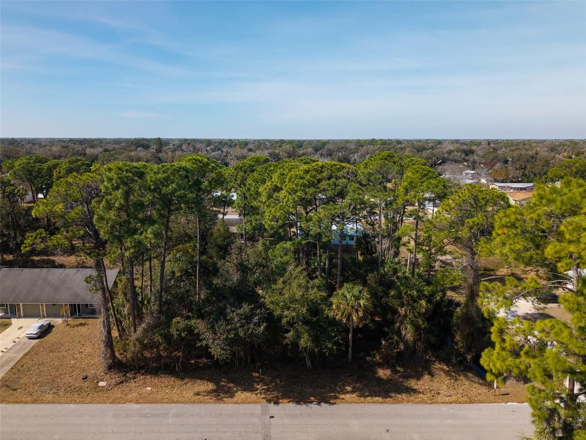 3128 INDIA PALM DRIVE — photo 9 of 18