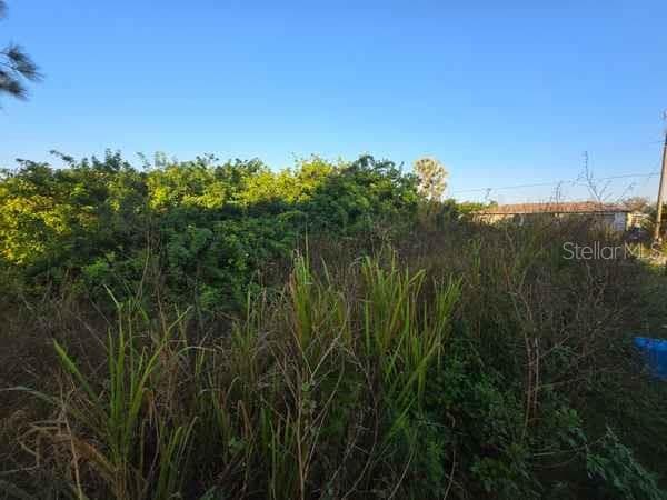 3813 5TH STREET — photo 3 of 28