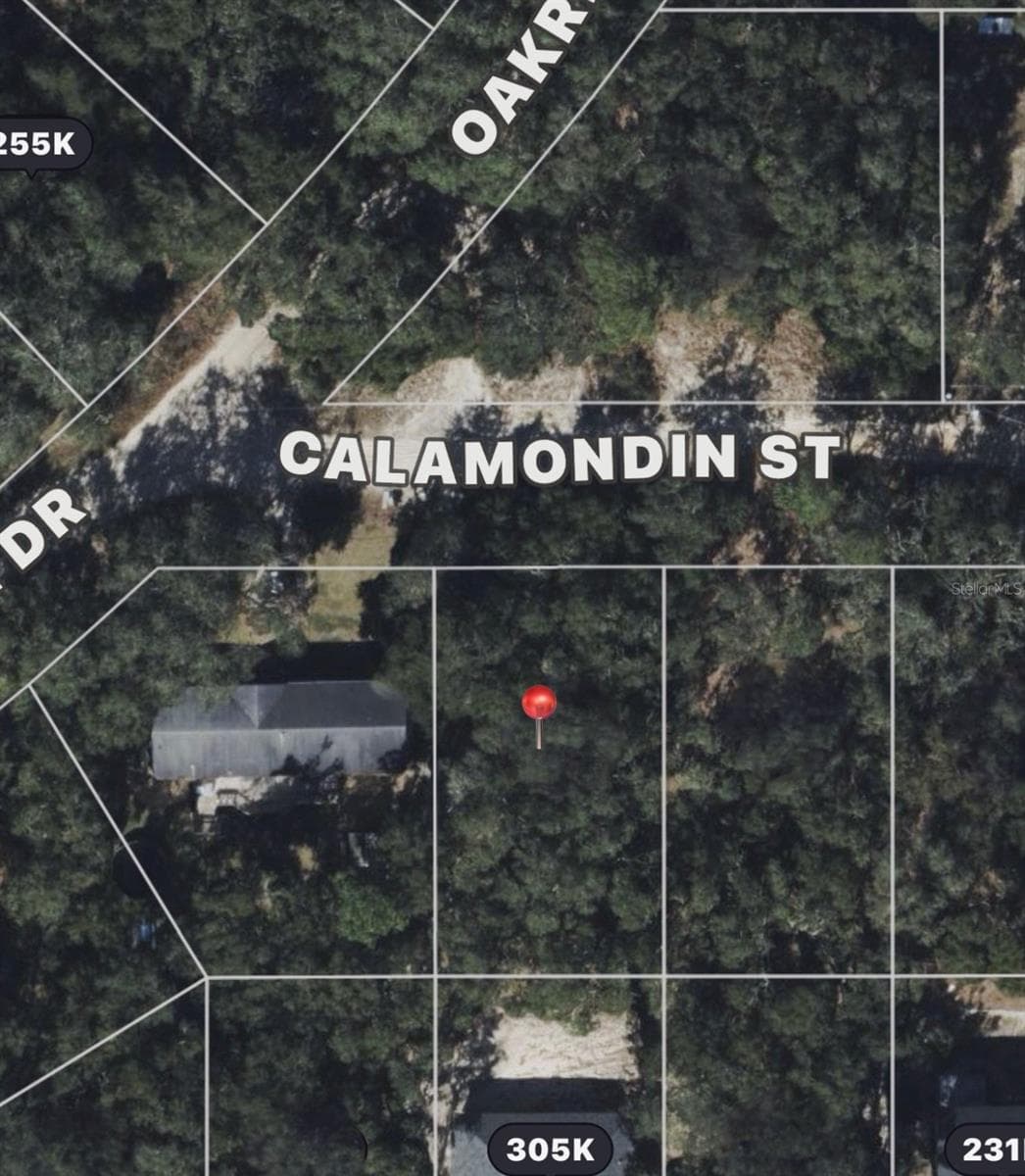 CALAMONDIN ST — photo 1 of 1