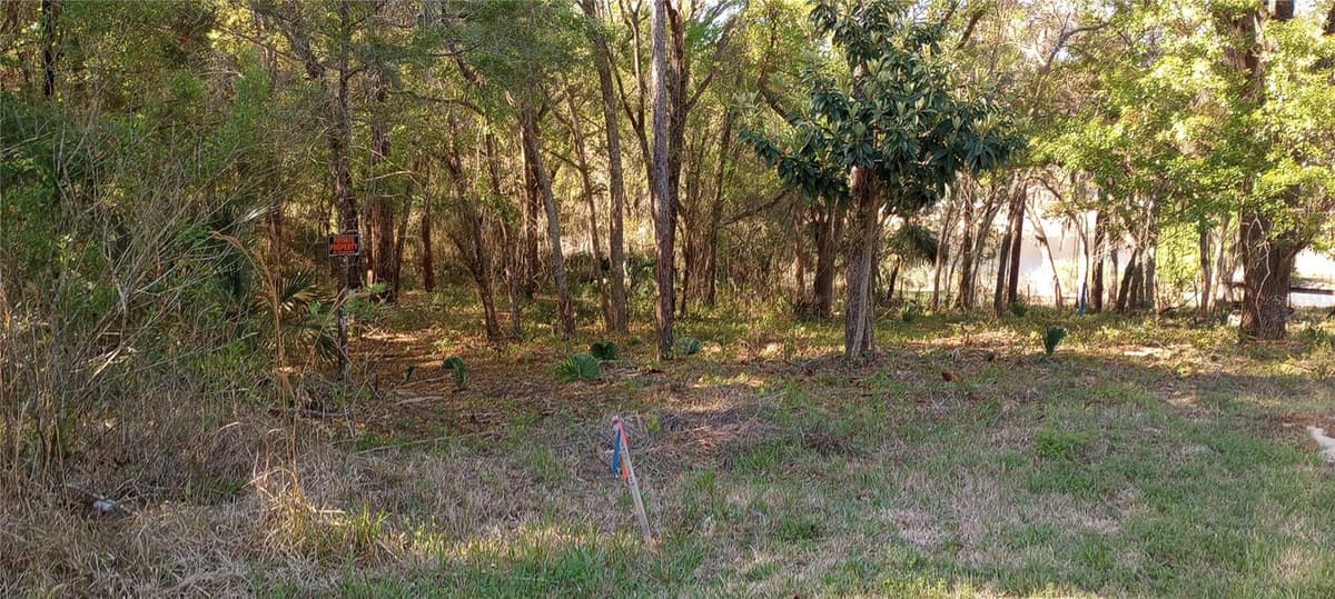 CASAURINA ROAD — photo 2 of 3