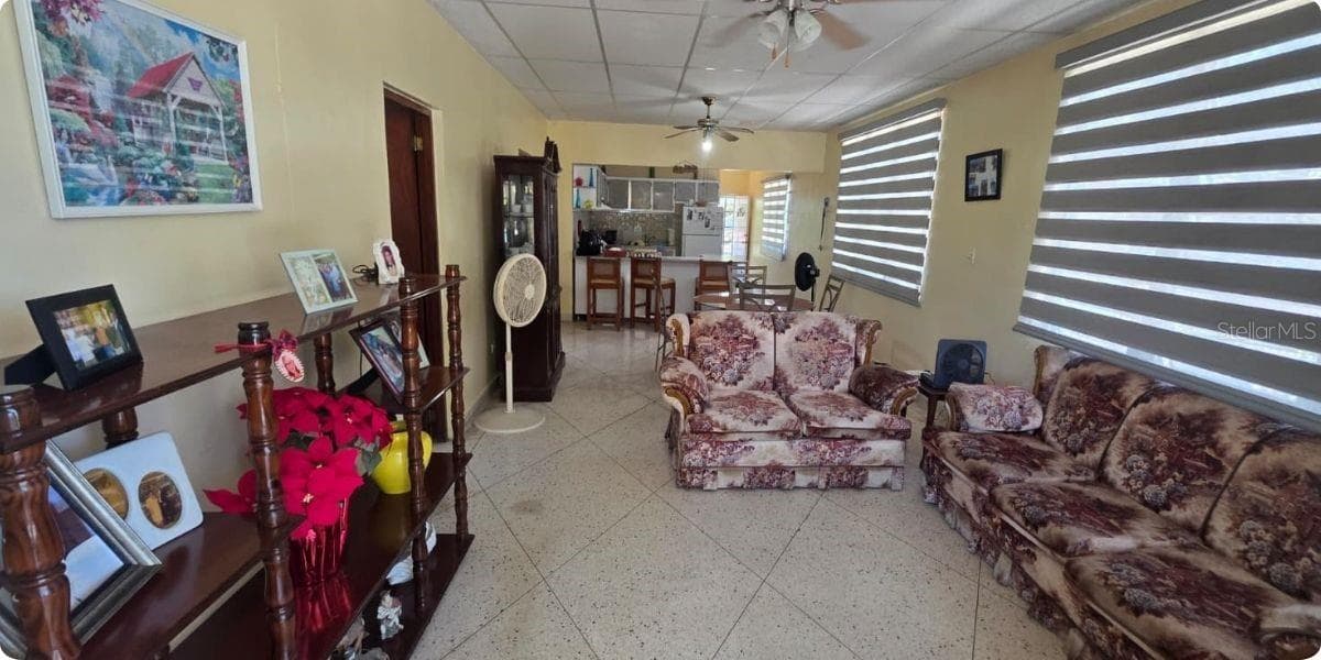 Carr PR-123 Km 78.9 BO HATO VIEJO — photo 8 of 33