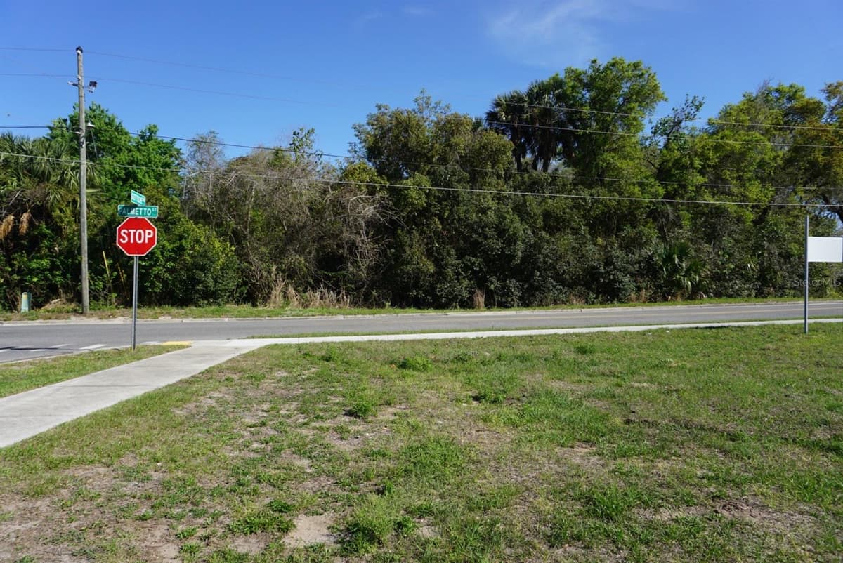 PALMETTO STREET — photo 4 of 5