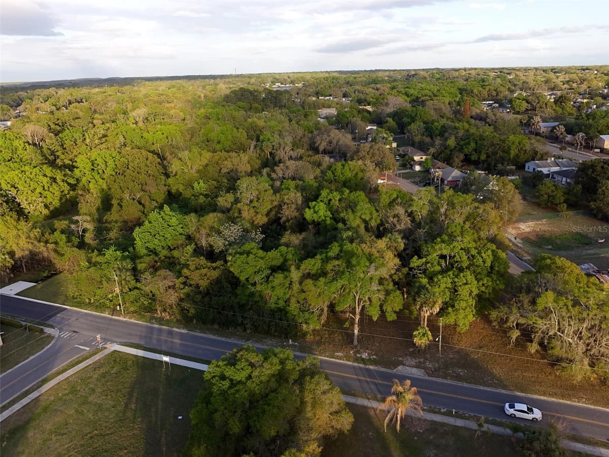 PALMETTO STREET — photo 5 of 5