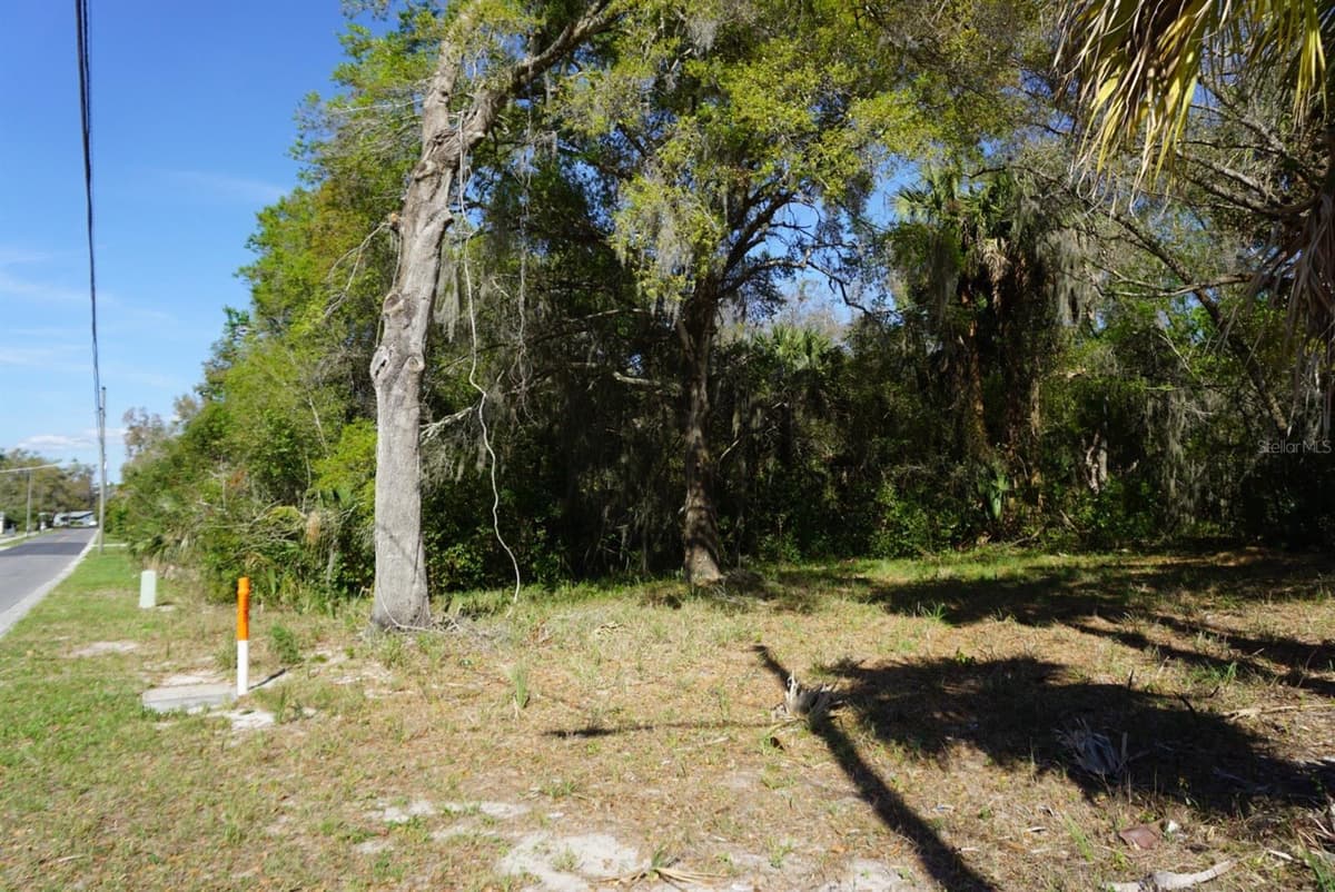 PALMETTO STREET — photo 2 of 5