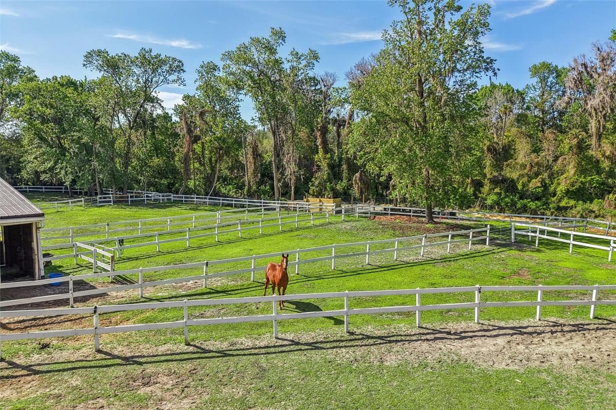 116 CROWN OAKS WAY — photo 46 of 47