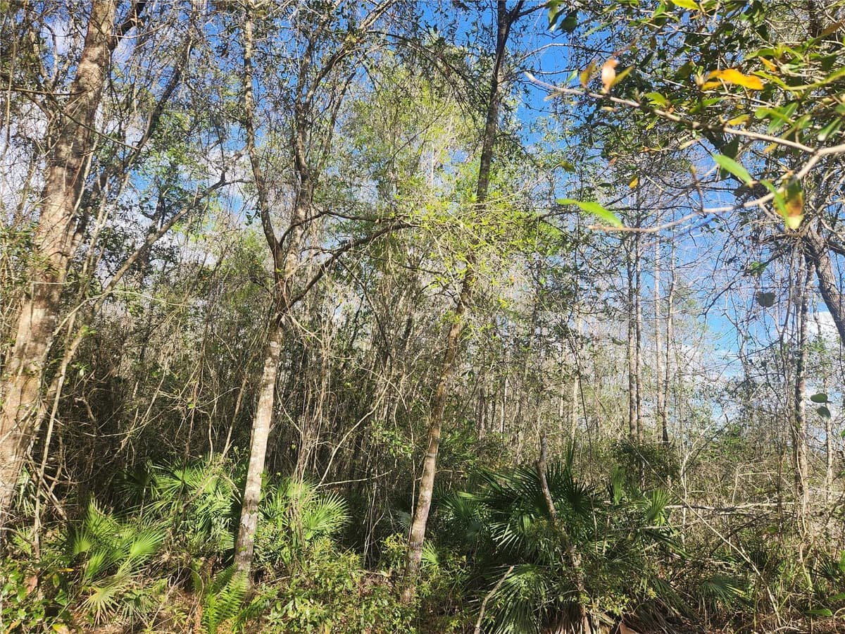 2355 STATE ROAD 100 — photo 20 of 26
