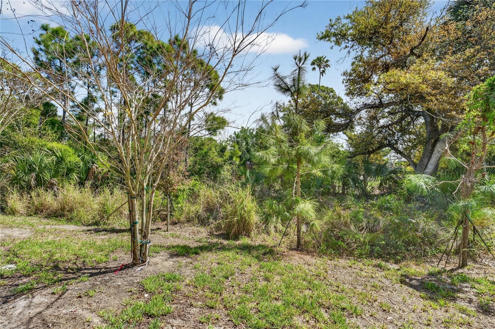 17124 BLOWFISH DRIVE — photo 27 of 35