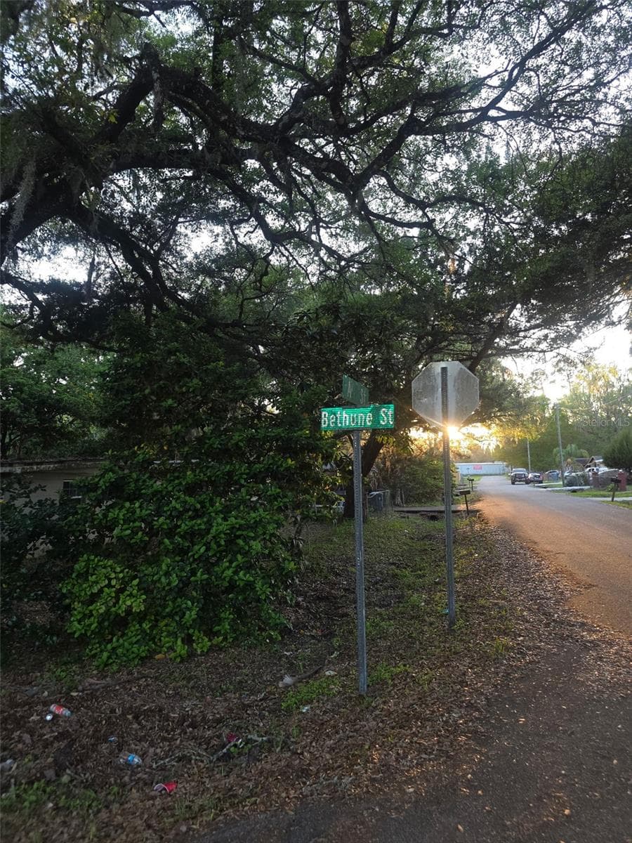 0 BETHUNE STREET — photo 2 of 3