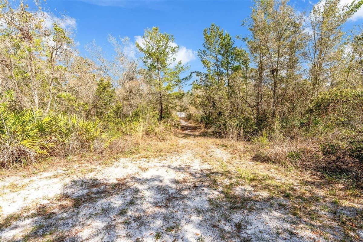 326 ENTERPRISE OSTEEN ROAD — photo 31 of 34