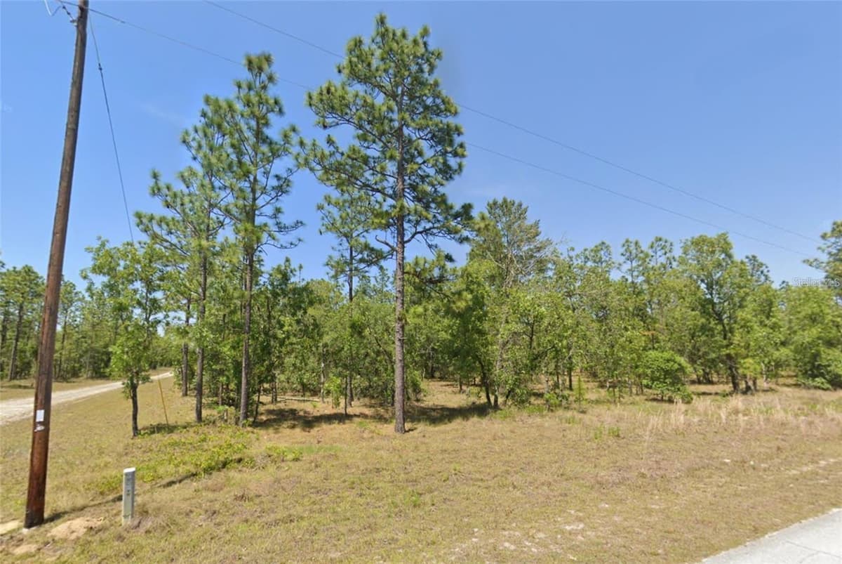 Lot 31 133RD — photo 1 of 2