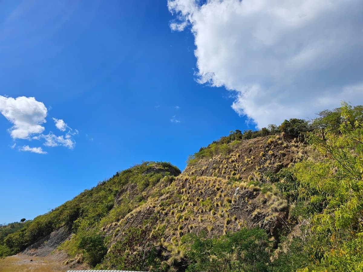 ROAD 115 — photo 11 of 42