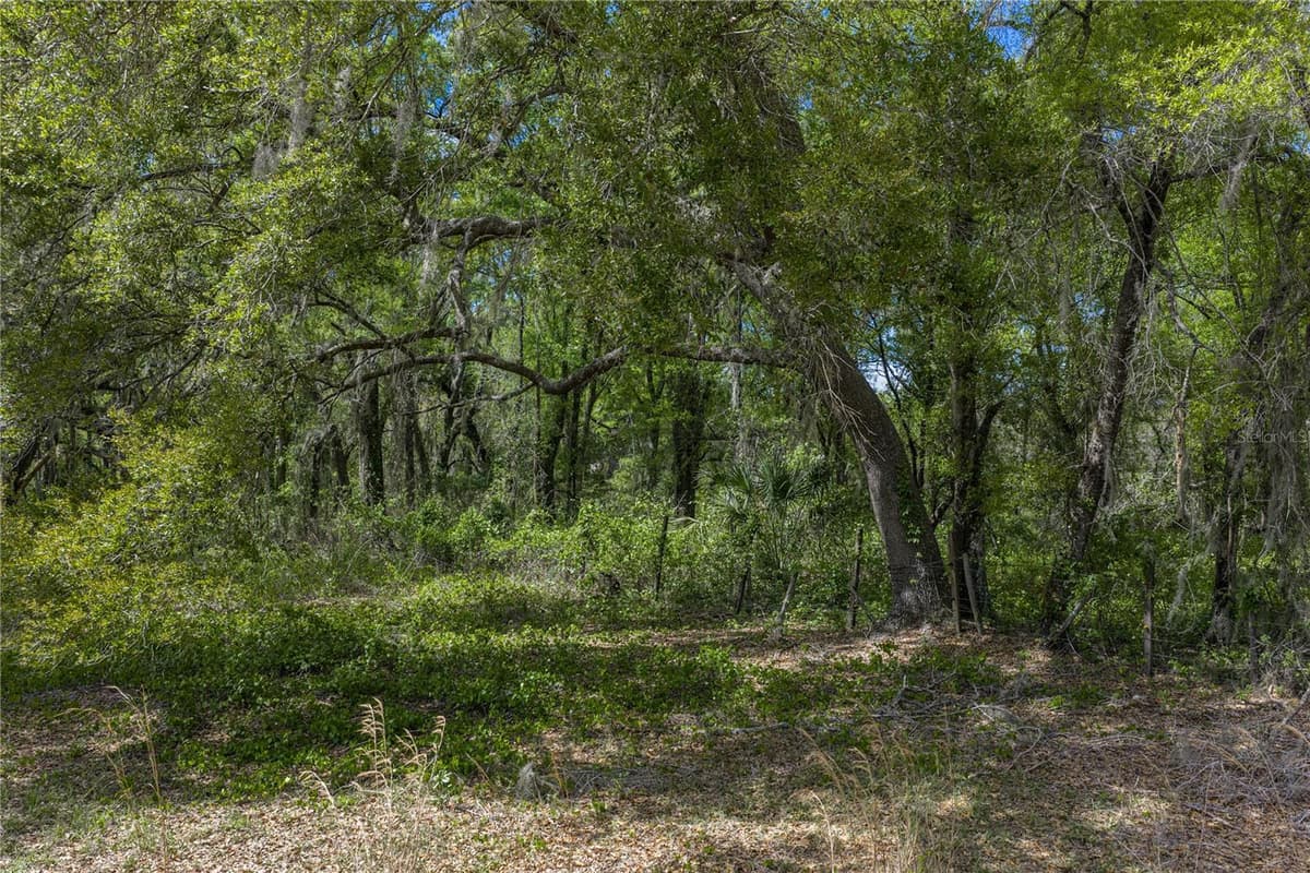 0 CLAYTON ROAD — photo 31 of 41