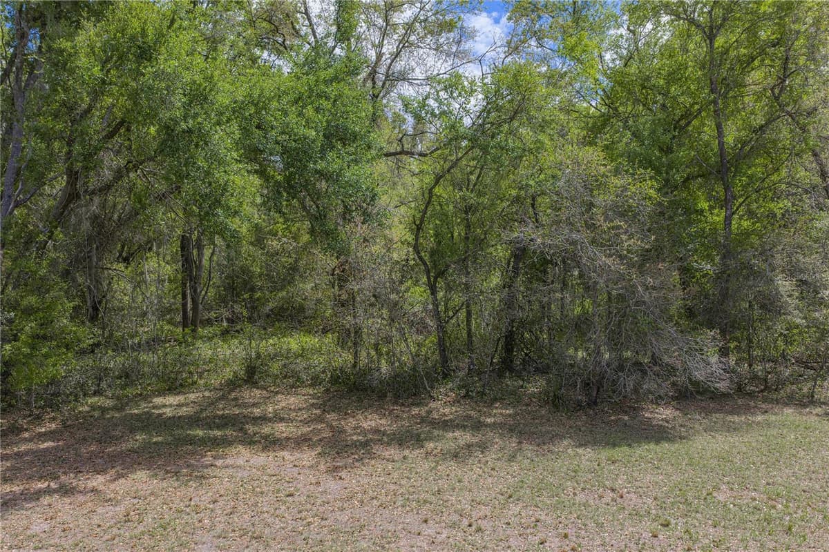 0 CLAYTON ROAD — photo 22 of 41