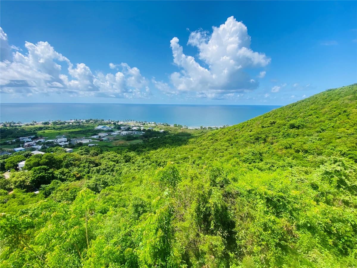FARM AMAZING OCEAN VIEW — photo 10 of 13