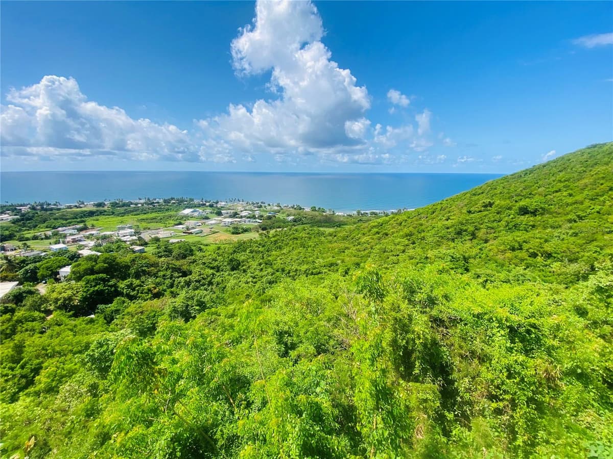 FARM AMAZING OCEAN VIEW — photo 9 of 13