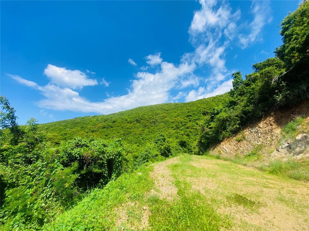 FARM AMAZING OCEAN VIEW — photo 8 of 13