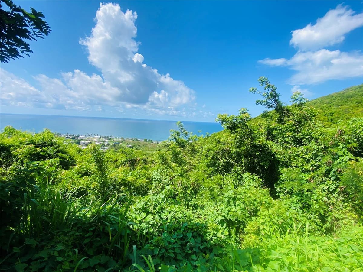 FARM AMAZING OCEAN VIEW — photo 7 of 13