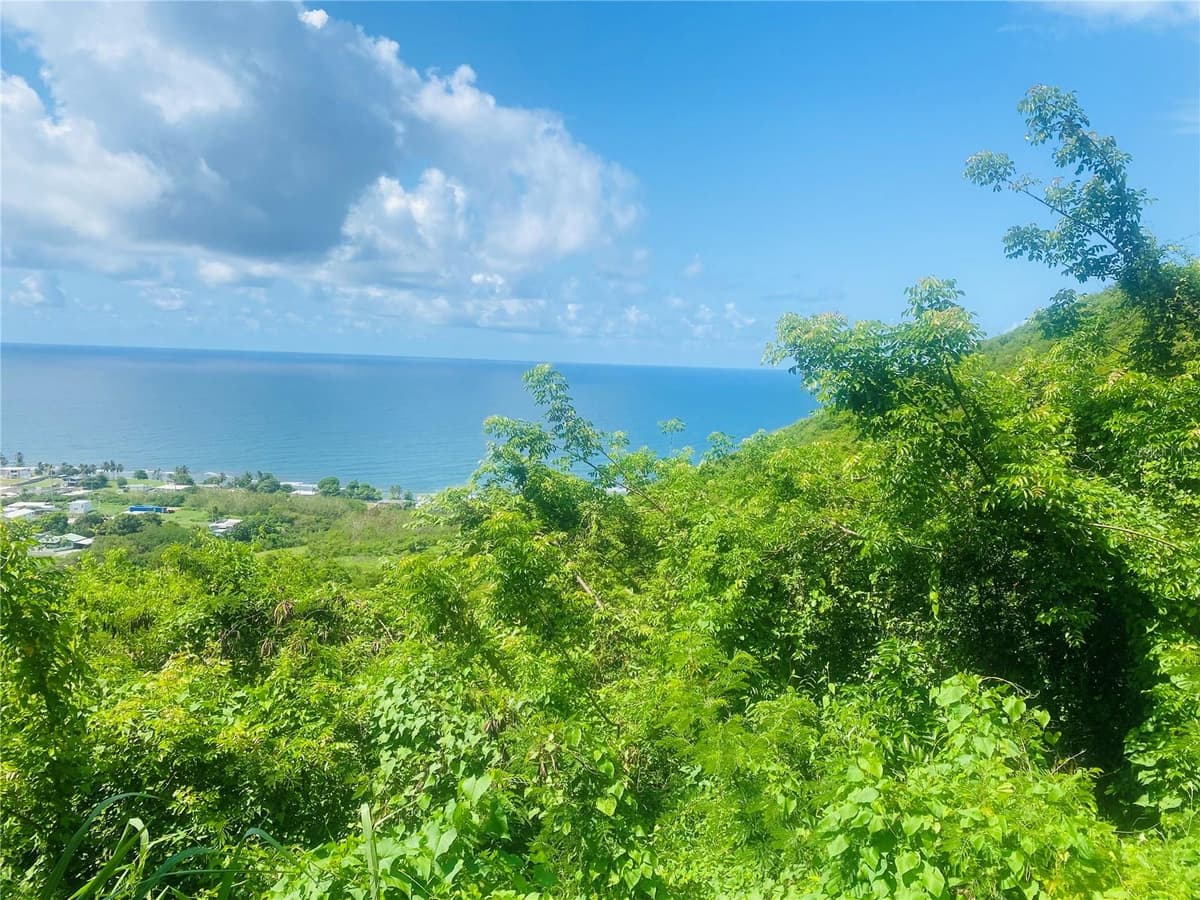 FARM AMAZING OCEAN VIEW — photo 12 of 13