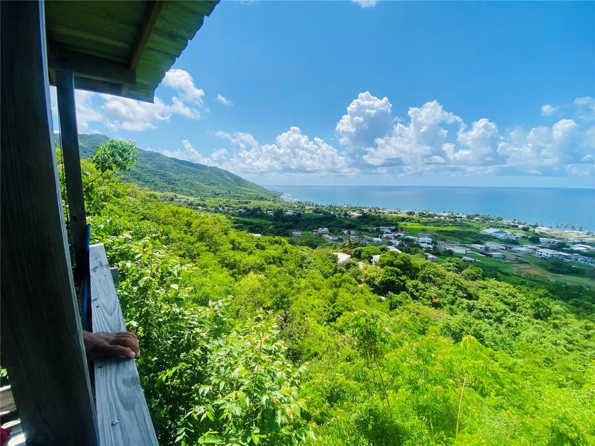 FARM AMAZING OCEAN VIEW — photo 3 of 13