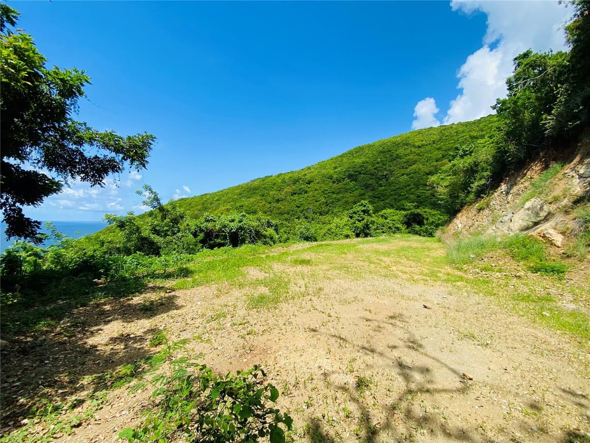FARM AMAZING OCEAN VIEW — photo 4 of 13