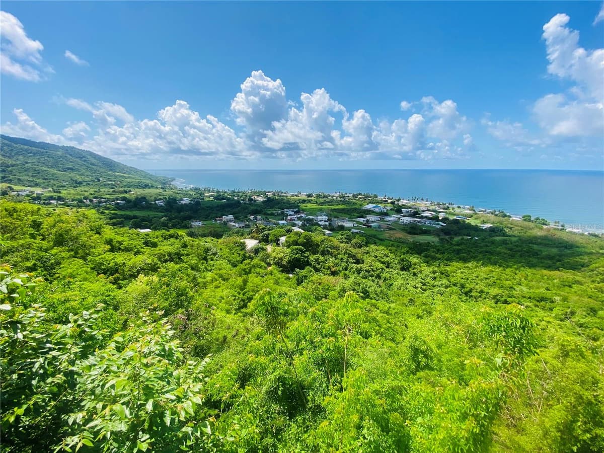 FARM AMAZING OCEAN VIEW — photo 11 of 13