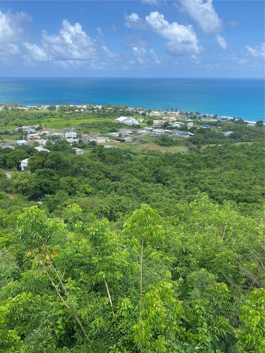 FARM AMAZING OCEAN VIEW — photo 13 of 13