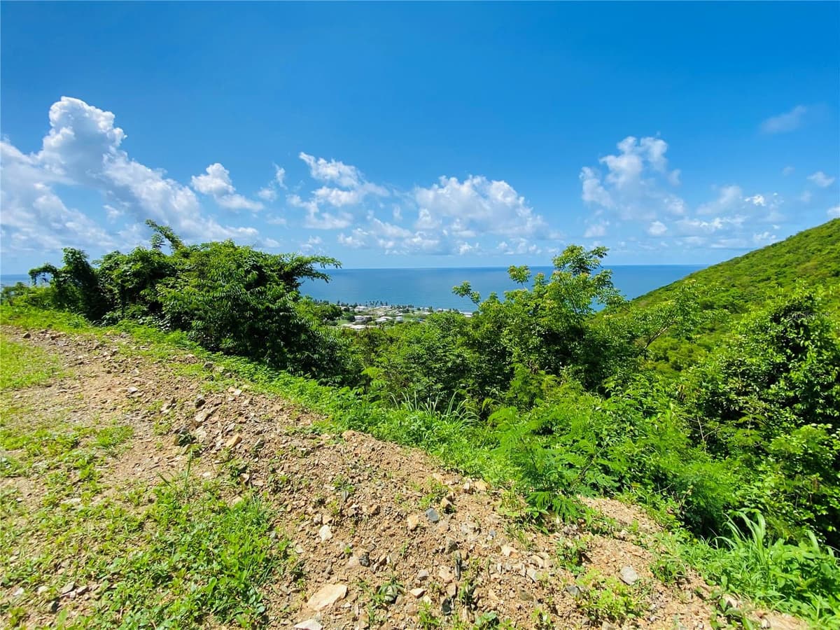 FARM AMAZING OCEAN VIEW — photo 5 of 13