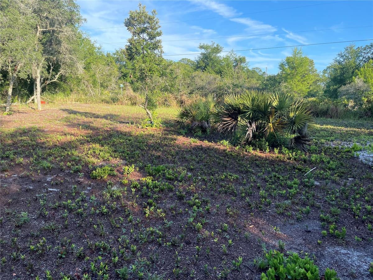 1873 FOXGLOVE ROAD — photo 18 of 20