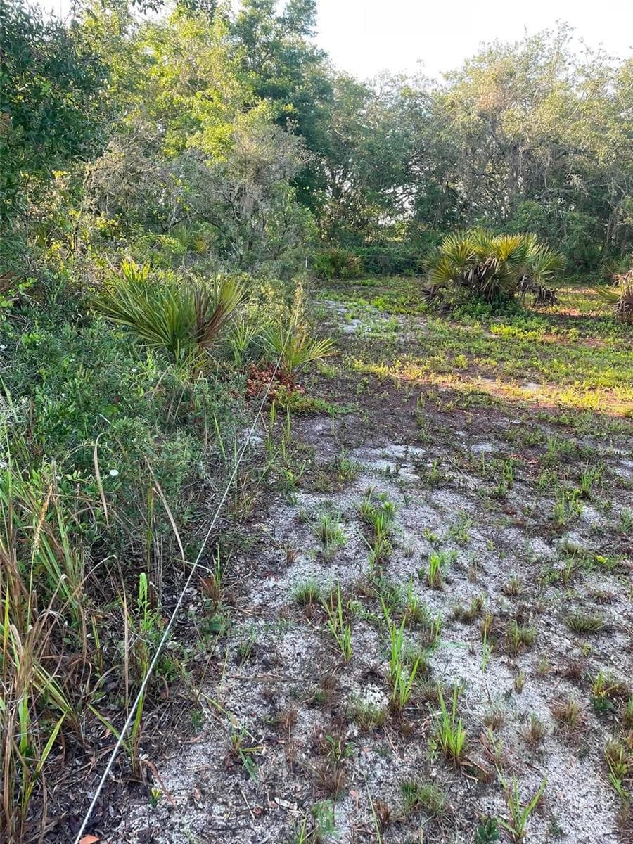 1873 FOXGLOVE ROAD — photo 15 of 20