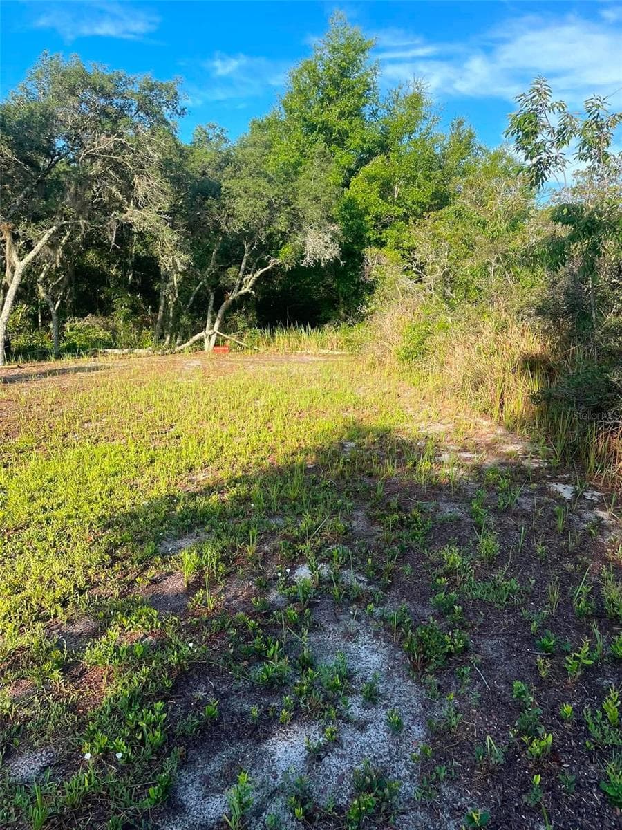 1873 FOXGLOVE ROAD — photo 16 of 20