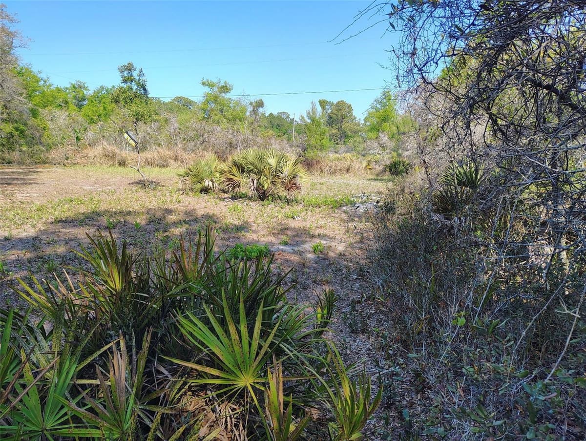 1873 FOXGLOVE ROAD — photo 14 of 20