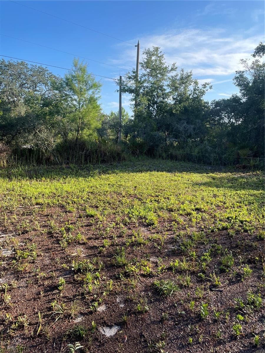 1873 FOXGLOVE ROAD — photo 17 of 20